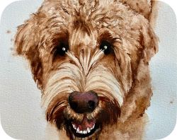 A painting of Archie