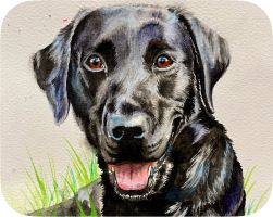 A painting of a dog