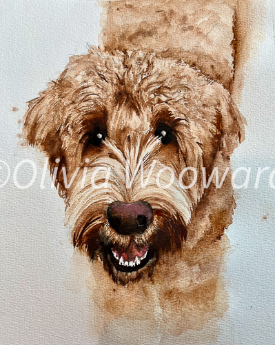 A watercolor of a miniture doodle