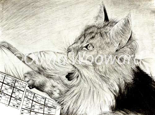 A charcoal of a main coon cat