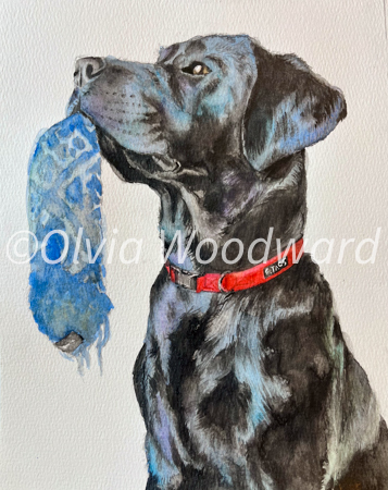 A watercolor of a black lab